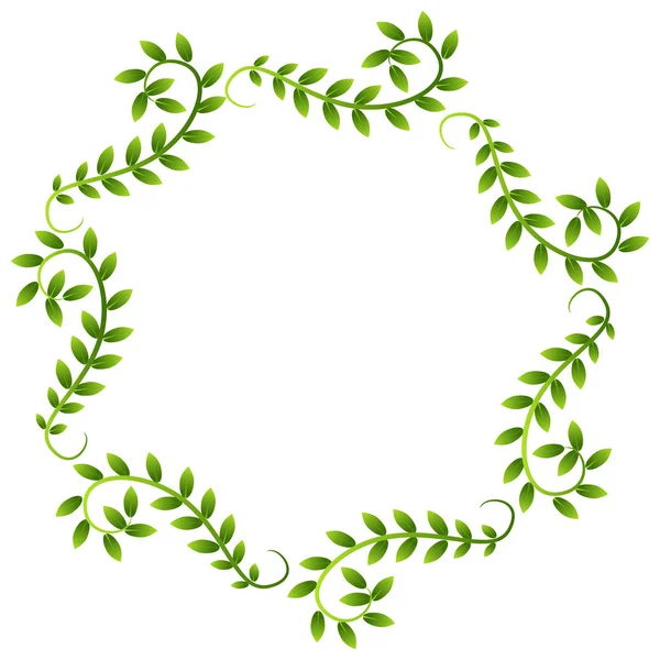 Plant Vine Leaves Frame Wreath Border — Stock Vector