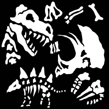 Gömülü Dinosuar fosil Bones