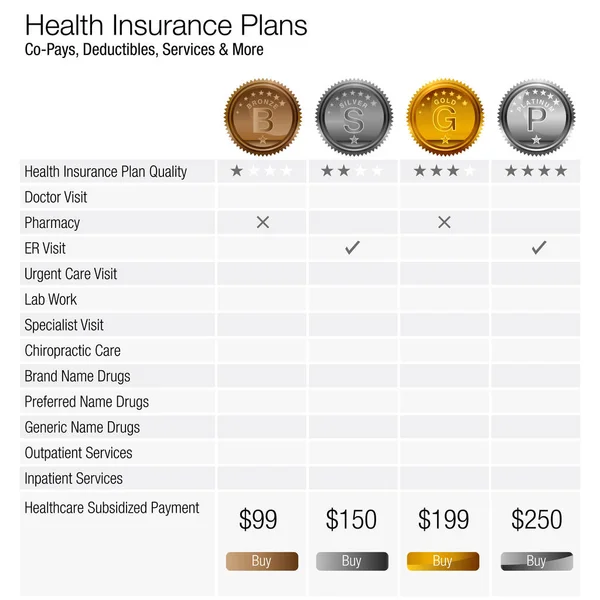 건강 보험 계획 차트 — 스톡 벡터