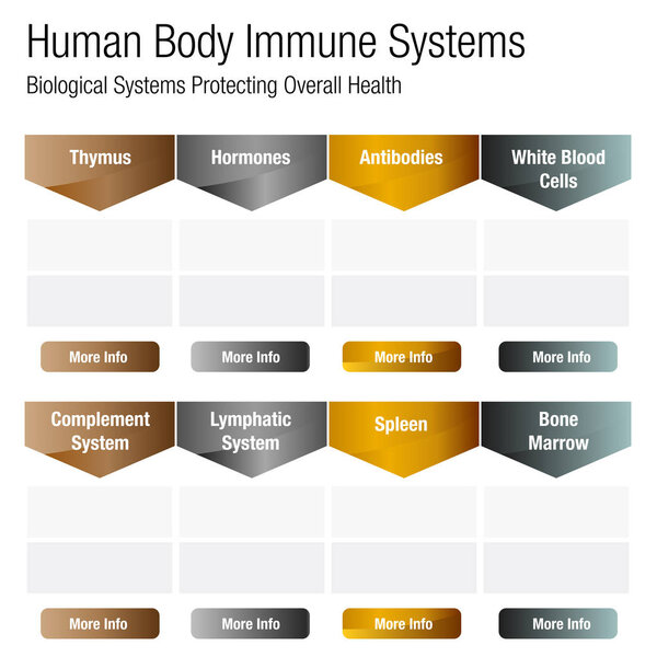 Человеческое тело и системы Chart
