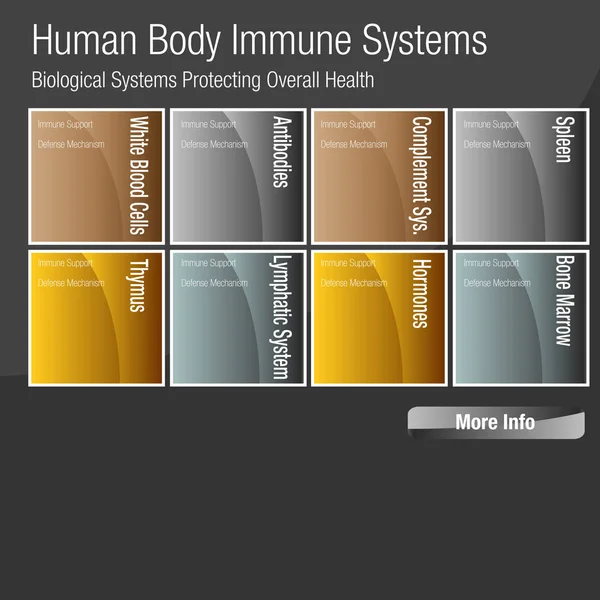 Graphique des systèmes immunitaires du corps humain — Image vectorielle