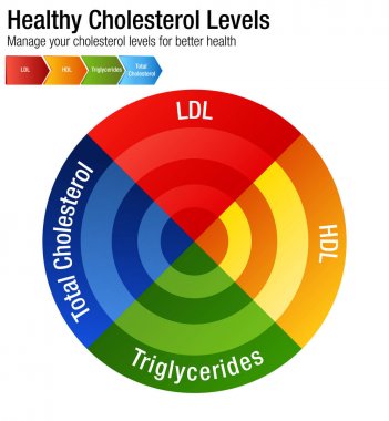Toplam kan kolesterol Hdl Ldl trigliserid grafik