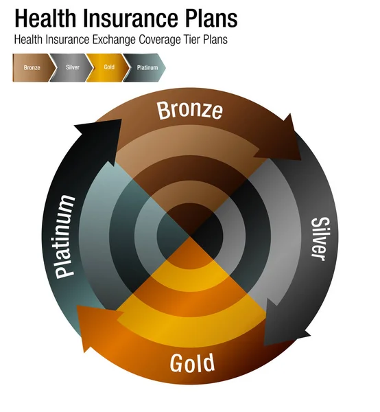 건강 보험 교환 범위 계층 계획 차트 — 스톡 벡터