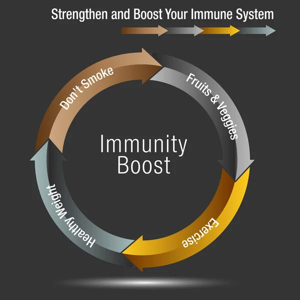 Boost och Stregthen diagrammet immunsystemet — Stock vektor