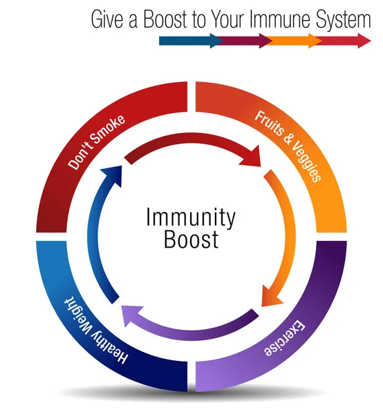 Підвищити і зміцнити діаграму імунної системи — стоковий вектор