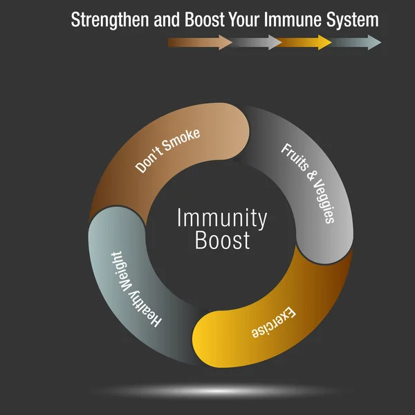 Boost en Stregthen uw immuunsysteem grafiek — Stockvector