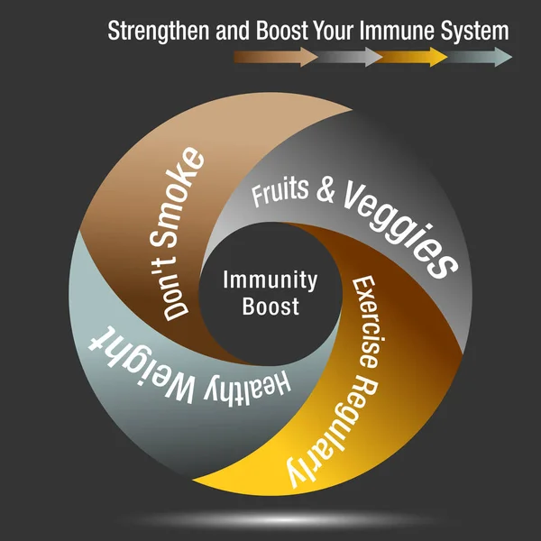 Boost och Stregthen diagrammet immunsystemet Stockvektor