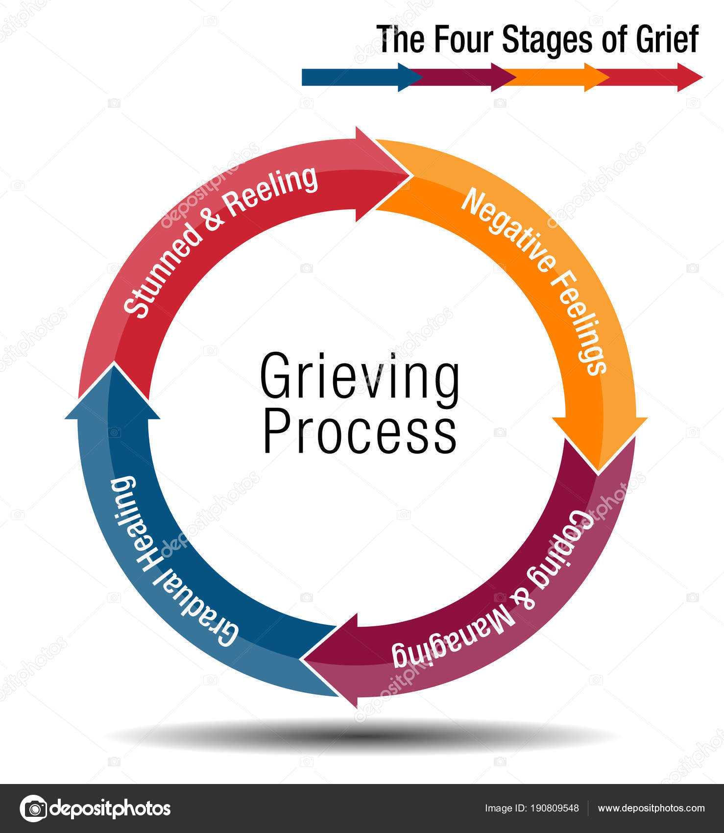 The Grief Cycle Chart