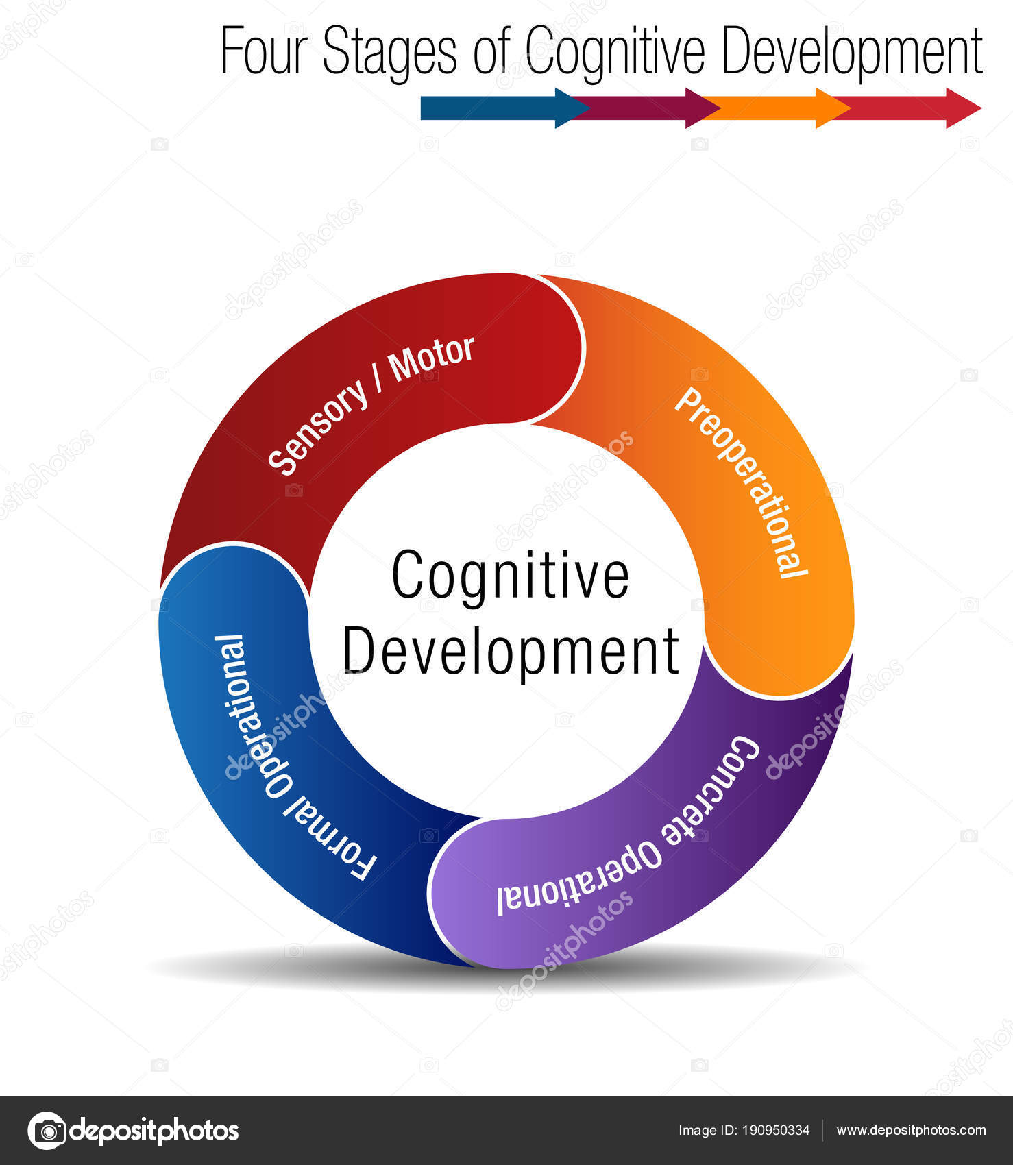 Four Stages of Cognitive Development — Stock Vector ...