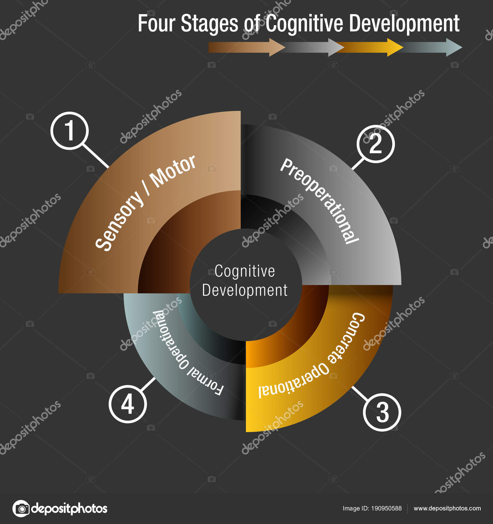 Cognitive Development Stages Chart