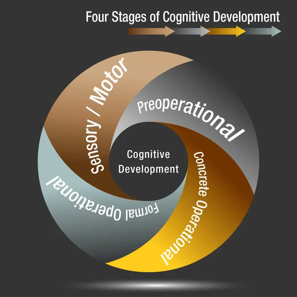 Cuatro etapas del desarrollo cognitivo — Archivo Imágenes Vectoriales