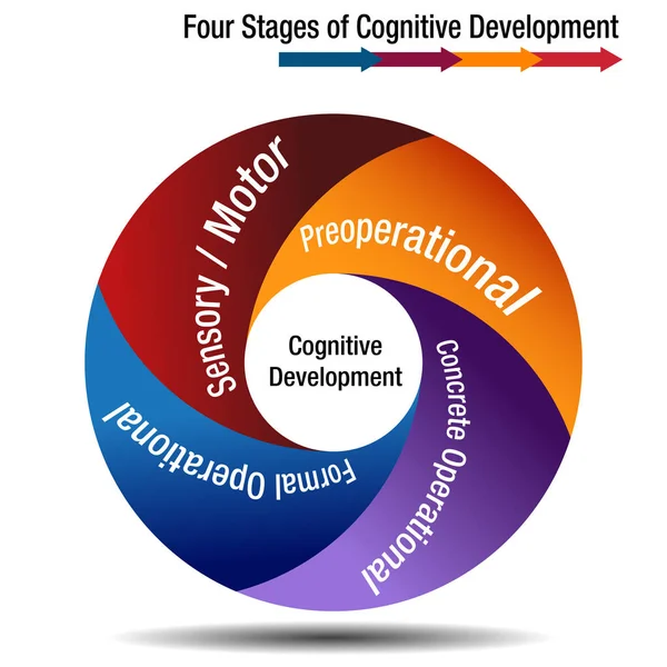 Fyra stadier av kognitiv utveckling — Stock vektor
