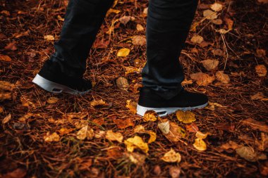      Mantar ağacı, güzellik