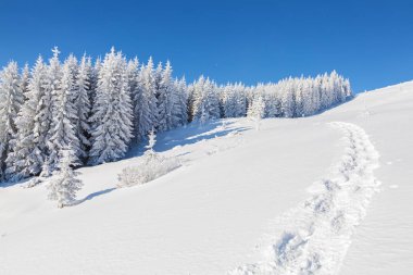 Yüksek dağlar yeşil ağaçların kar ile kaplı.