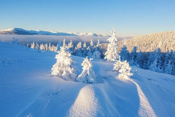 아름다운 산 풍경. — 스톡 사진