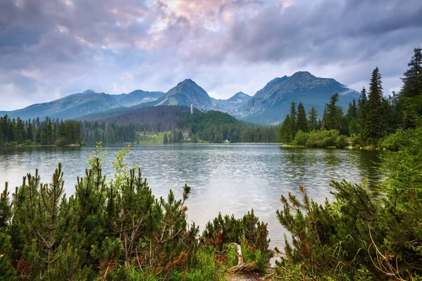 Beautiful green trees are seen mountain expanses. — Stock Photo, Image