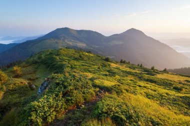 Dağlarda yüksek yolu ile yeşil çim.