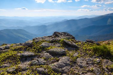 Büyük dağların panoramik manzarası.