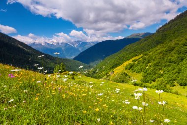  Yüksek dağlar ve çayırlar ile manzara.