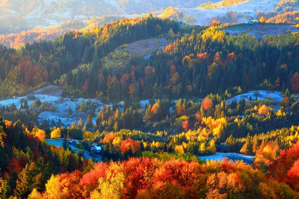 Dağ tepeler turuncu, sarı ve kırmızı renk yaprakları ile ağaçları ile kaplı. — Stok fotoğraf