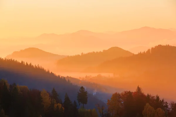 The setting sun colors the hills covered with autumn forest.