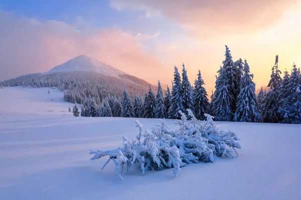 Het landschap met bergtop en zonsopgang in warme kleuren. — Stockfoto