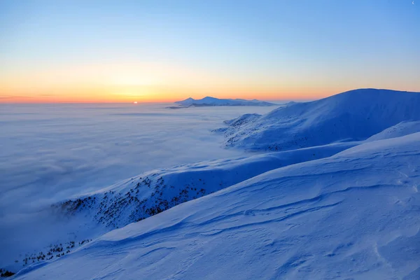 Bosque de invierno de abetos vertidos con nieve que como pelaje alberga las colinas de montaña cubiertas de nieve.Fondo texturizado de invierno . —  Fotos de Stock