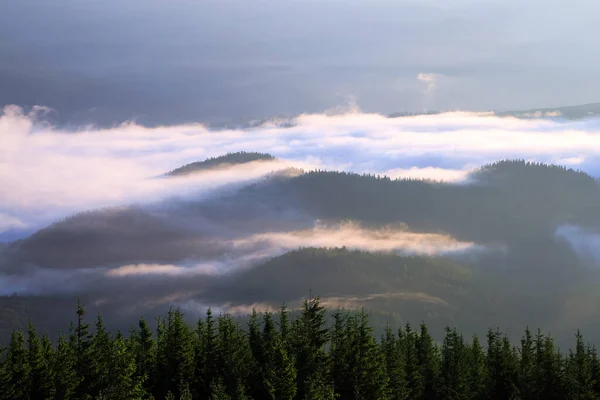 Πυκνή ομίχλη με καταπληκτικό φως. Ένα όμορφο τοπίο με ψηλά βουνά. Υπέροχο ανοιξιάτικο πρωινό. Τοποθεσία Τόπος Carpathian, Ουκρανία, Ευρώπη. — Φωτογραφία Αρχείου