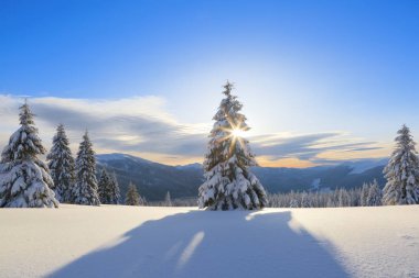 İnanılmaz kış gündoğumu. Güneş ışınları gökyüzünü ve ufku aydınlatıyor. Yüksek dağların manzarası. Kış manzarası. Duvar kağıdı arka planı. Konum: Carpathian, Ukrayna, Avrupa.