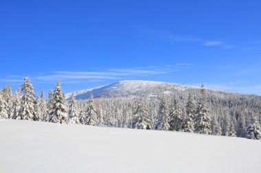 Yüksek dağların güzel manzarası, ahşap ve mavi gökyüzü. Kış manzarası. Beyaz karla kaplı çimenler. Konum: Carpathian, Ukrayna, Avrupa.