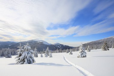 Yüksek dağların güzel manzarası, ahşap ve mavi gökyüzü. Kış manzarası. Beyaz karla kaplı çimenler. Konum: Carpathian, Ukrayna, Avrupa.