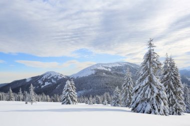 Yüksek dağların güzel manzarası, ahşap ve mavi gökyüzü. Kış manzarası. Beyaz karla kaplı çimenler. Konum: Carpathian, Ukrayna, Avrupa.