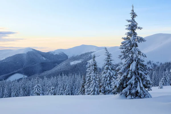 Increíble amanecer de invierno. Los rayos del sol iluminan el cielo y el horizonte. Paisaje de altas montañas. Paisaje invernal. Fondo de pantalla. Lugar de ubicación Cárpatos, Ucrania, Europa . —  Fotos de Stock