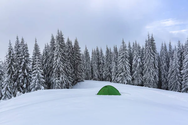 Úžasná krajina za chladného zimního dne. V lese na trávníku stojí zelený turistický stan se širokou cestičkou k němu. Krásný zasněžený les v horách. Pozadí tapety. — Stock fotografie