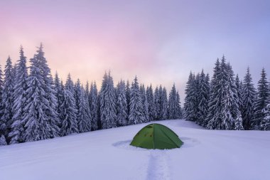 Soğuk kış gününde muhteşem bir manzara. Çimenlikteki ormanda yeşil turistik çadır geniş bir yol ile ayakta duruyor. Dağlarda güzel karlı çam ağaçları. Duvar kağıdı arkaplanı.