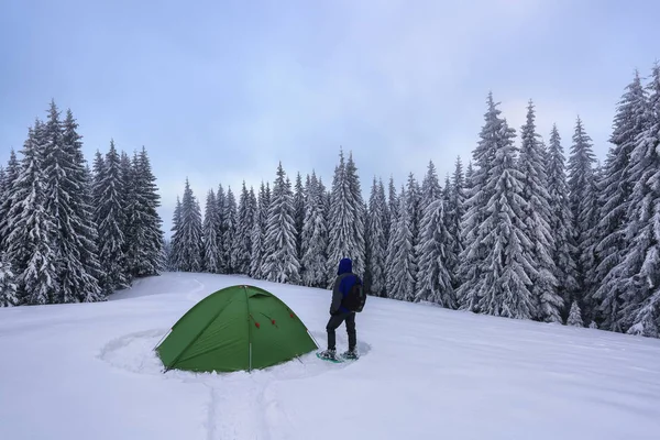 山区冬季风景。 游客站在绿色帐篷旁边的小径上. 野生森林。 旅游露营休息的地方。 地点：喀尔巴阡山，乌克兰，欧洲。 白雪公主的墙纸背景. — 图库照片