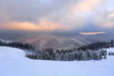 Dağlı bir manzara, karlı bir orman ve güzel bir gündoğumu. Görkemli kış manzarası. Dramatik bir gökyüzü. Karla kaplı bir çayır. Duvar kağıdı arka planı. Konum: Carpathian, Ukrayna, Avrupa.