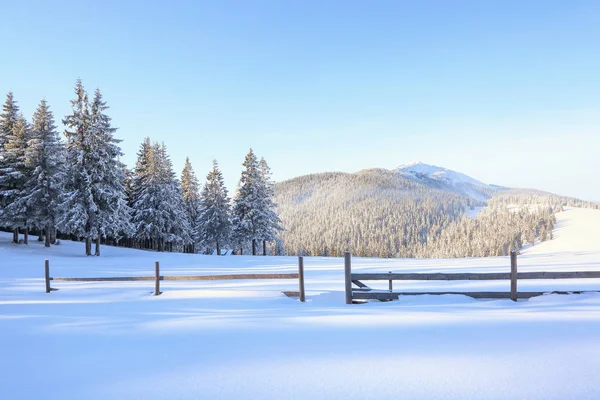 Winter scenery. Wooden fence. Beautiful landscape of high mountains, forest and blue sky. Lawn covered with white snow. Wallpaper snowy background. Location place Carpathian, Ukraine, Europe.