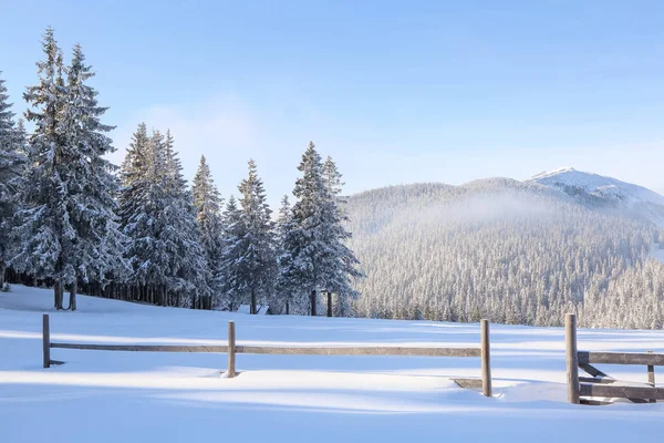 Winter scenery. Wooden fence. Beautiful landscape of high mountains, forest and blue sky. Lawn covered with white snow. Wallpaper snowy background. Location place Carpathian, Ukraine, Europe. — 스톡 사진