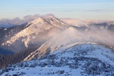 Soğuk kış gününde güzel bir manzara. Kar beyazı tepeleri olan yüksek bir dağ. Karlı arkaplan.