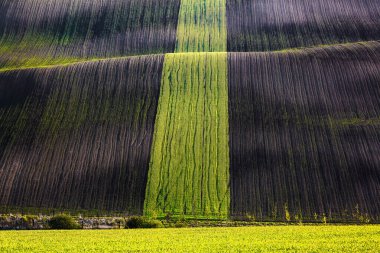 Waley, yeşil çimlerle tarımsal alandaki ışık ve gölgelerle ilgili ilginç bir aydınlanmadır. Güney Moravya Bölgesi Çek Cumhuriyeti. Bahar manzarası.