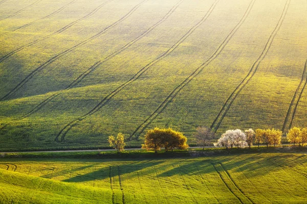 天気の良い日の景色は 農業に覆われた緑の谷から開かれています 南モラヴィア地方チェコ共和国 田園風景 — ストック写真