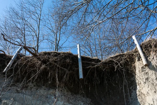 Fence posts hang by cables after the soil holding them has been eroded by Lake Ontario