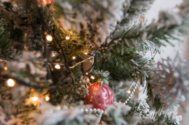 Ve yeni yıl ve Noel