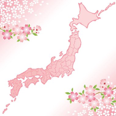 Japonya harita illüstrasyon kiraz çiçekleri ile.