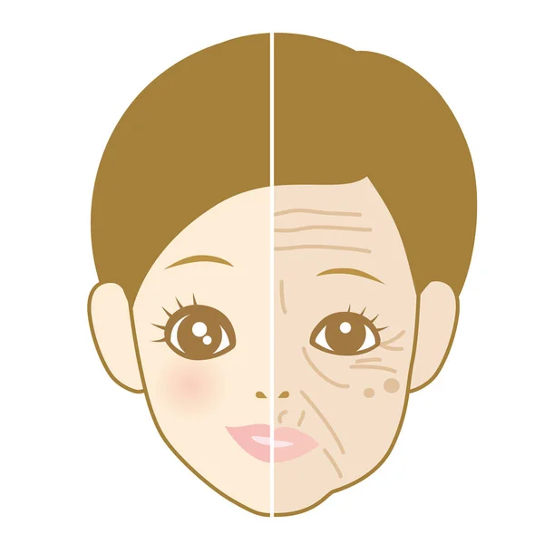 Aging Skin Young Woman Aged Woman Skin Trouble — Stock Vector