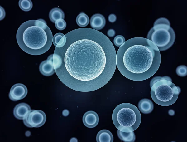 Група клітин під мікроскопом — стокове фото