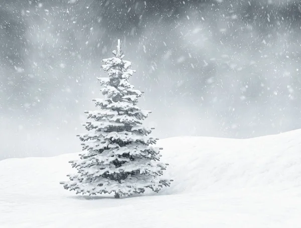 圣诞场景-单雪覆盖树 — 图库照片