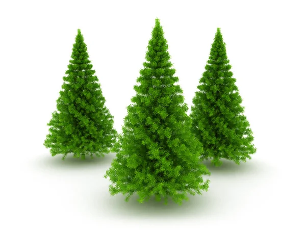 Drie pine kerstbomen — Stockfoto