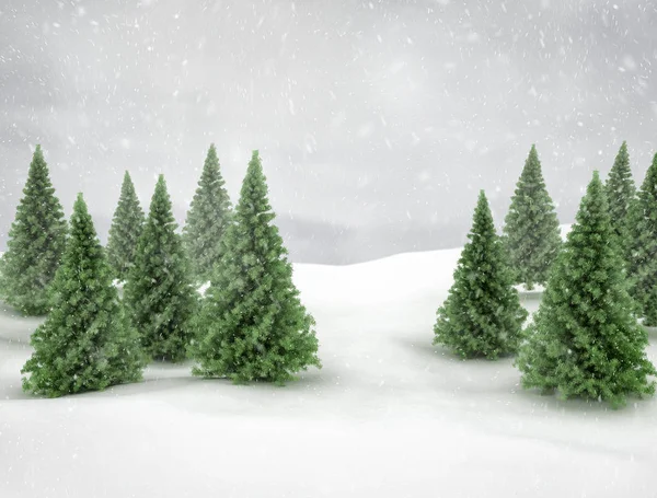 Зимова Сцена Сніг Зелені Сосни — стокове фото